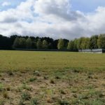 В Гродно планируют построить еще четыре медицинских объекта