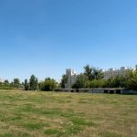 В Гродно на аукцион выставили огромный участок