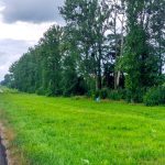 В Гродно построят два завода