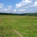 В Гродно рекордный ажиотаж на земельные участки под застройку