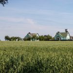 Огороды в Гродненской области и сараи в Минске разделили людей и чиновников
