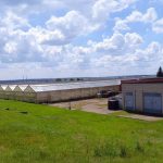 Известный завод в Гродно выставил на продажу комплекс теплиц